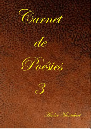 Carnet de Poésies 3