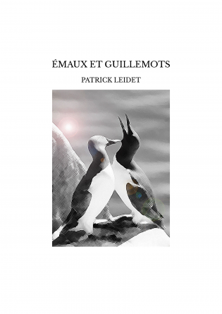 ÉMAUX ET GUILLEMOTS