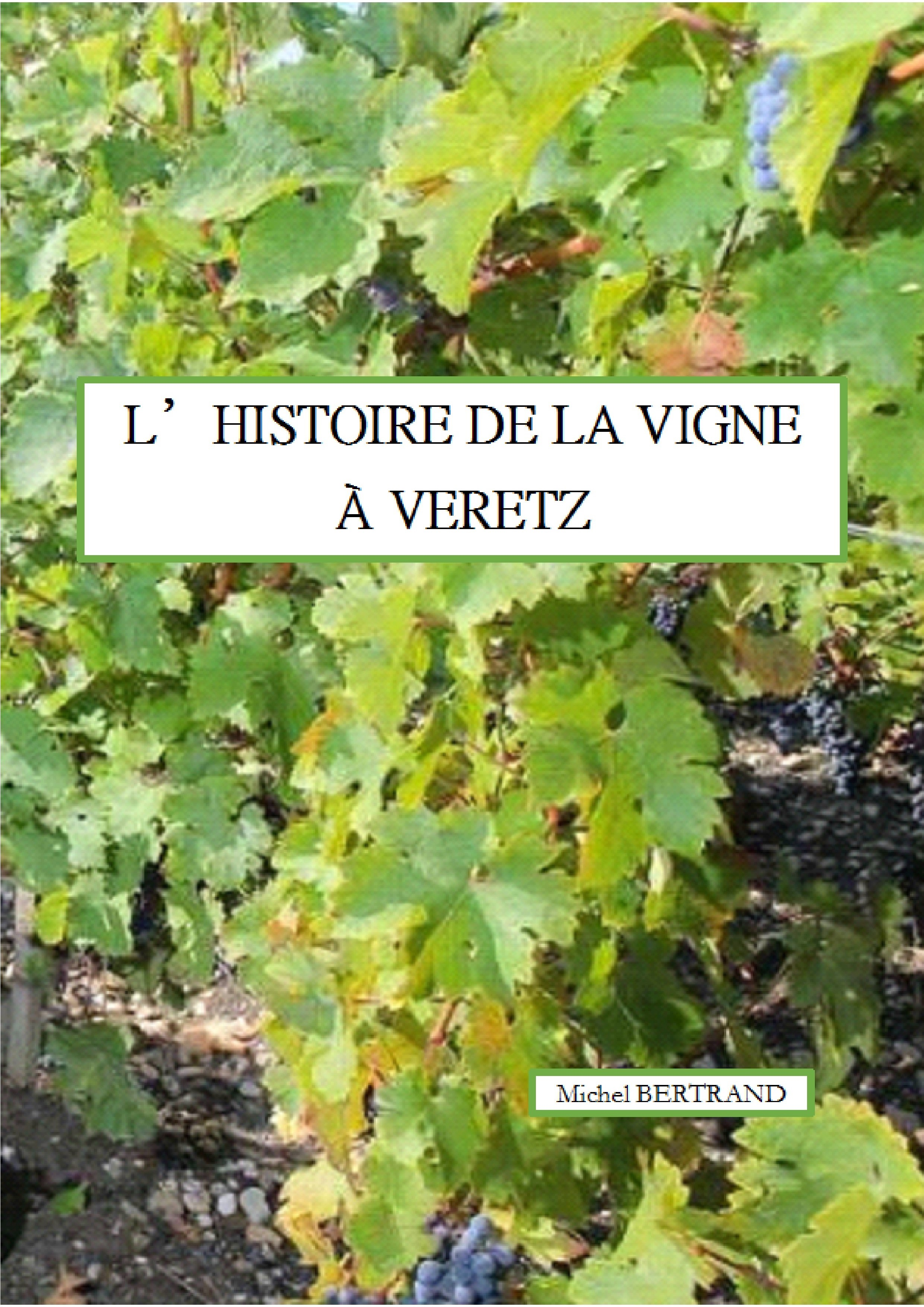Histoire de la vigne à Véretz