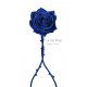 La Rose Bleue