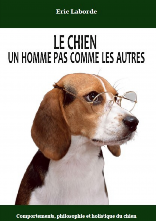 Le chien, un homme pas comme les autre