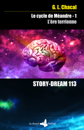 STORY DREAM 113