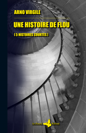 UNE HISTOIRE DE FLOU