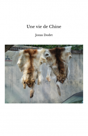 Une vie de Chine