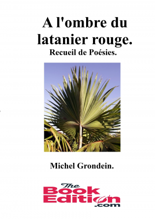 A l'ombre du latanier rouge