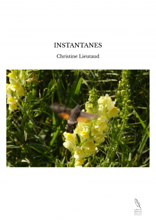 INSTANTANES