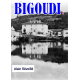 bigoudi