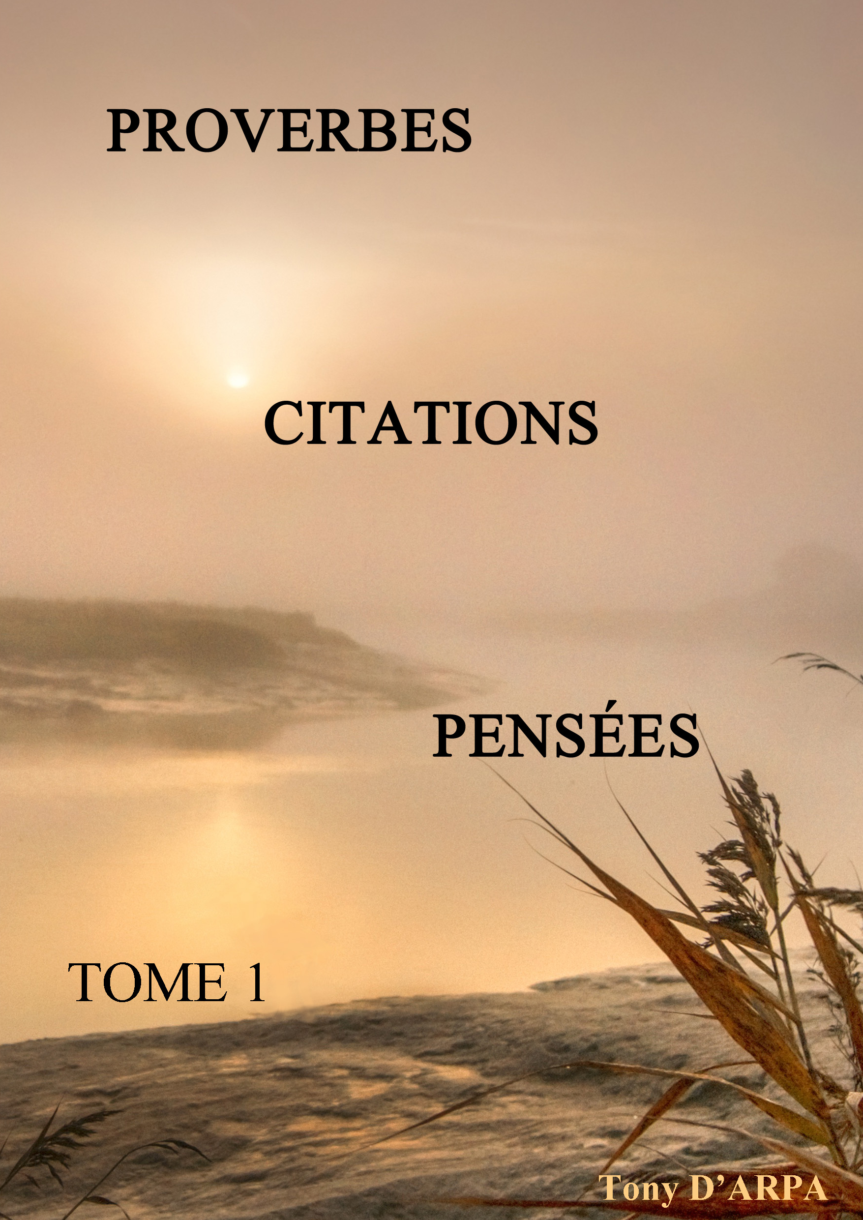 Proverbes Citations Pensees Tome 1 Tony Darpa