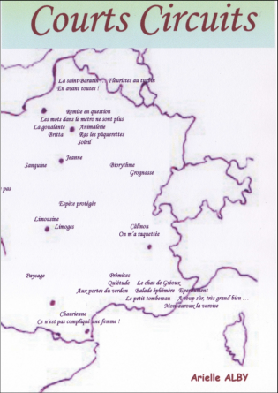 Courts Circuits