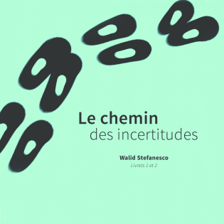 Le chemin des incertitudes