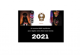 Calendrier du BARF 2021
