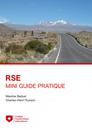 Mini-guide RSE