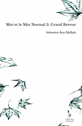 Moi et le Mot Normal 3: Grand Reveur