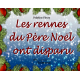 Les rennes du Père Noël ont disparu