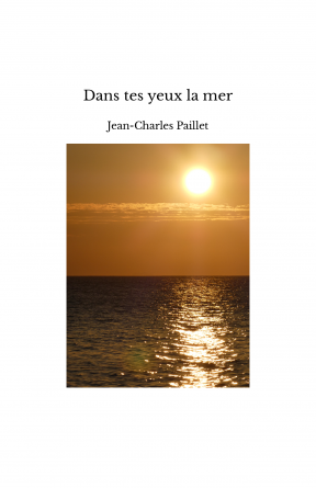 Dans tes yeux la mer