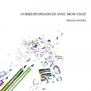  CORRESPONDANCES AVEC MON CHAT