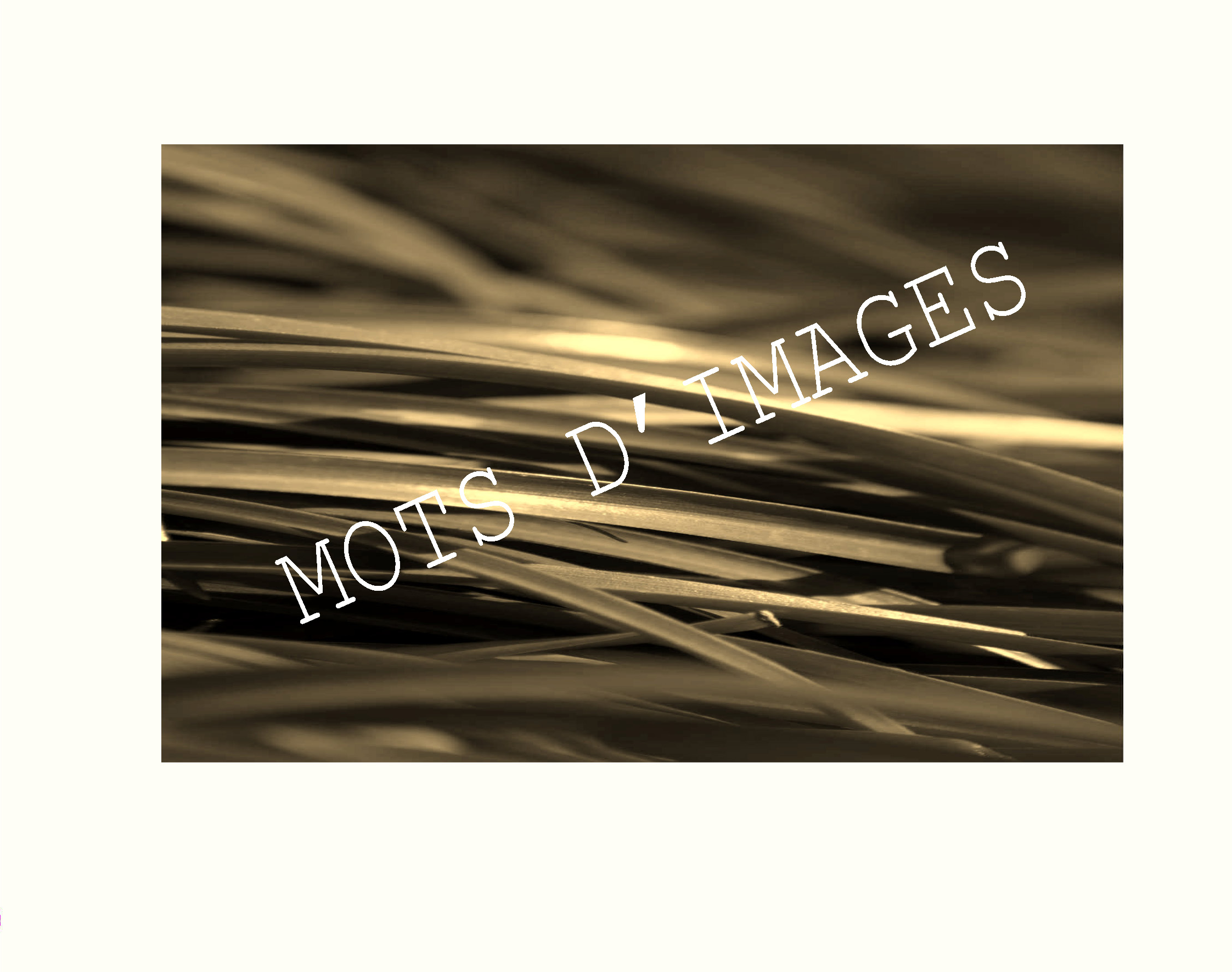 MOTS D'IMAGES