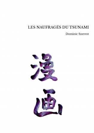 LES NAUFRAGÉS DU TSUNAMI