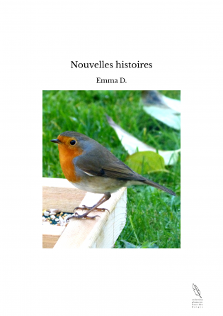 Nouvelles histoires