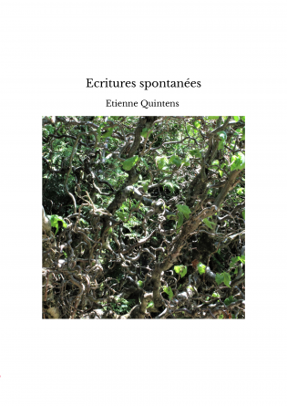 Ecritures spontanées