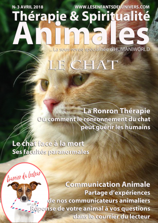 Thérapie & Spiritualité Animales N°3