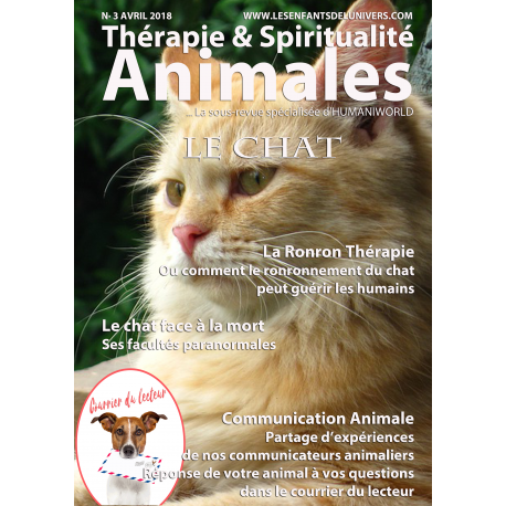 Therapie Spiritualite Animales N 3 Les Enfants De L Univers Asbl