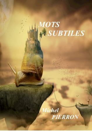 MOTS SUBTILES