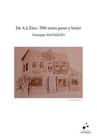 De A à Zinc. 700 mots pour y boire