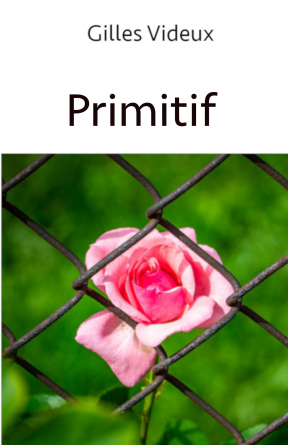 Primitif