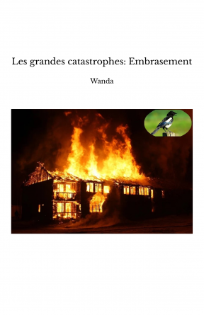 Les grandes catastrophes: Embrasement