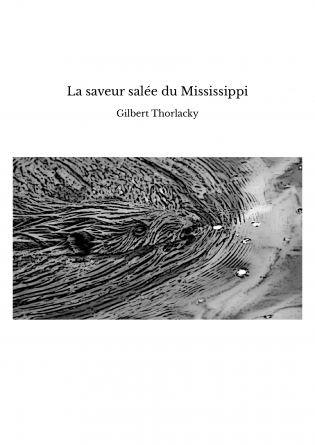 La saveur salée du Mississippi