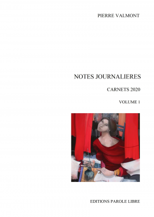 CARNETS 2020 NOTES JOURNALIERES (vol1)