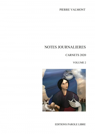 CARNETS 2020 NOTES JOURNALIERES (vol2)