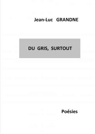 DU GRIS, SURTOUT