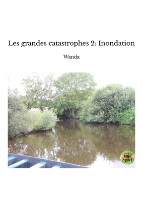 Les grandes catastrophes 2: Inondation