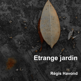 étrange jardin