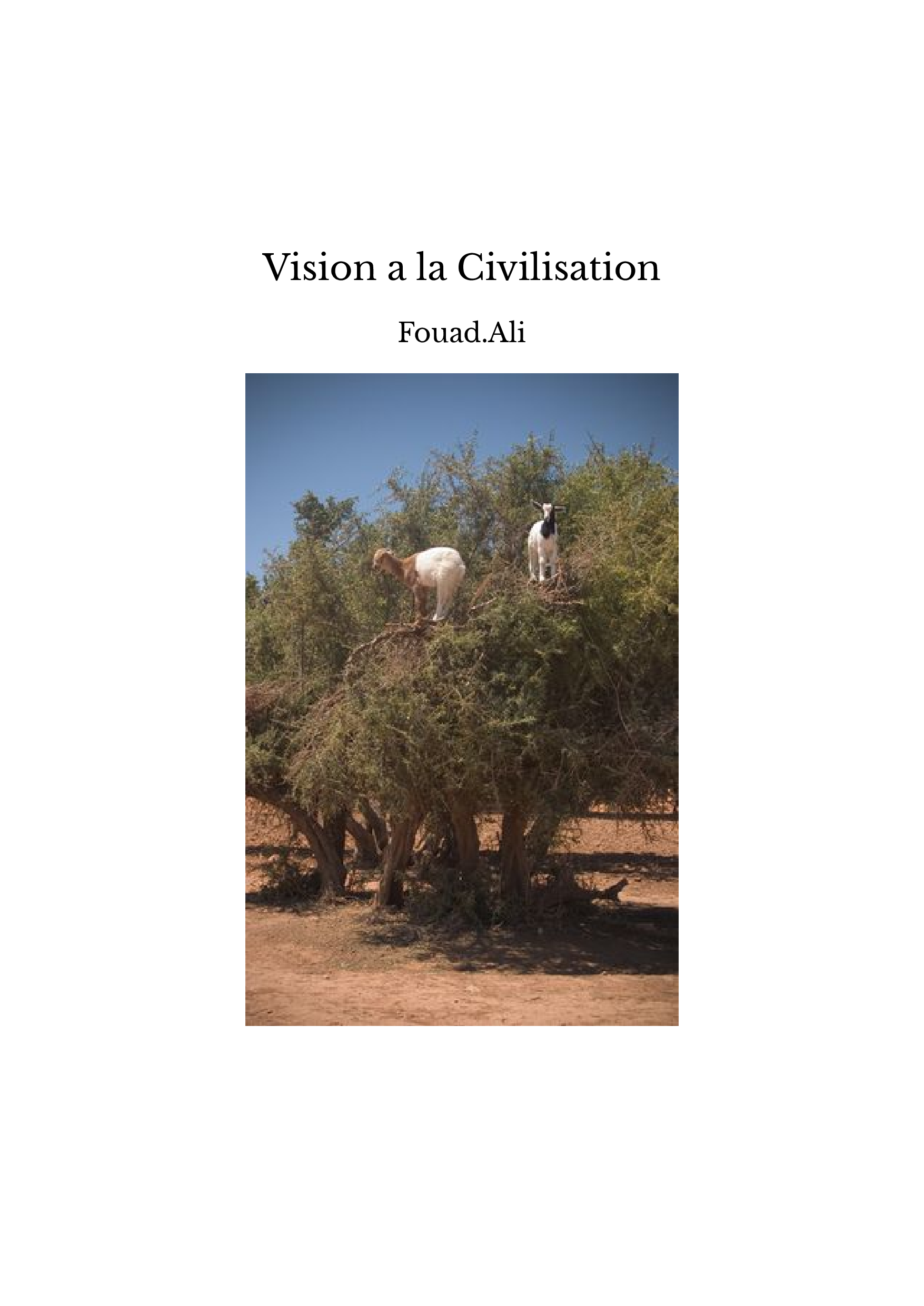 Vision a la Civilisation