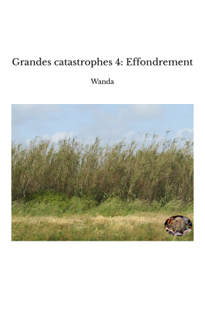 Grandes catastrophes 4: Effondrement