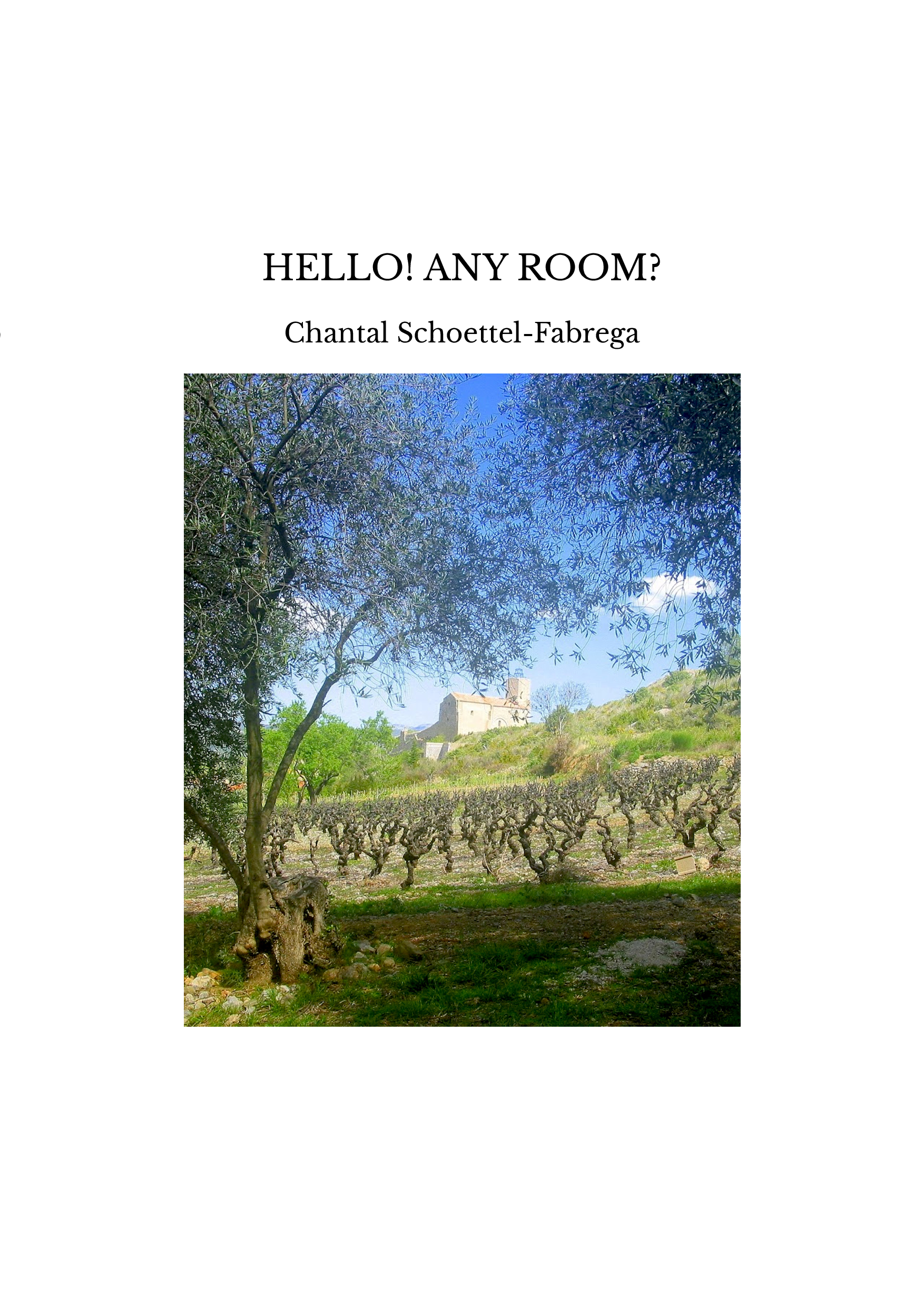 HELLO! ANY ROOM?
