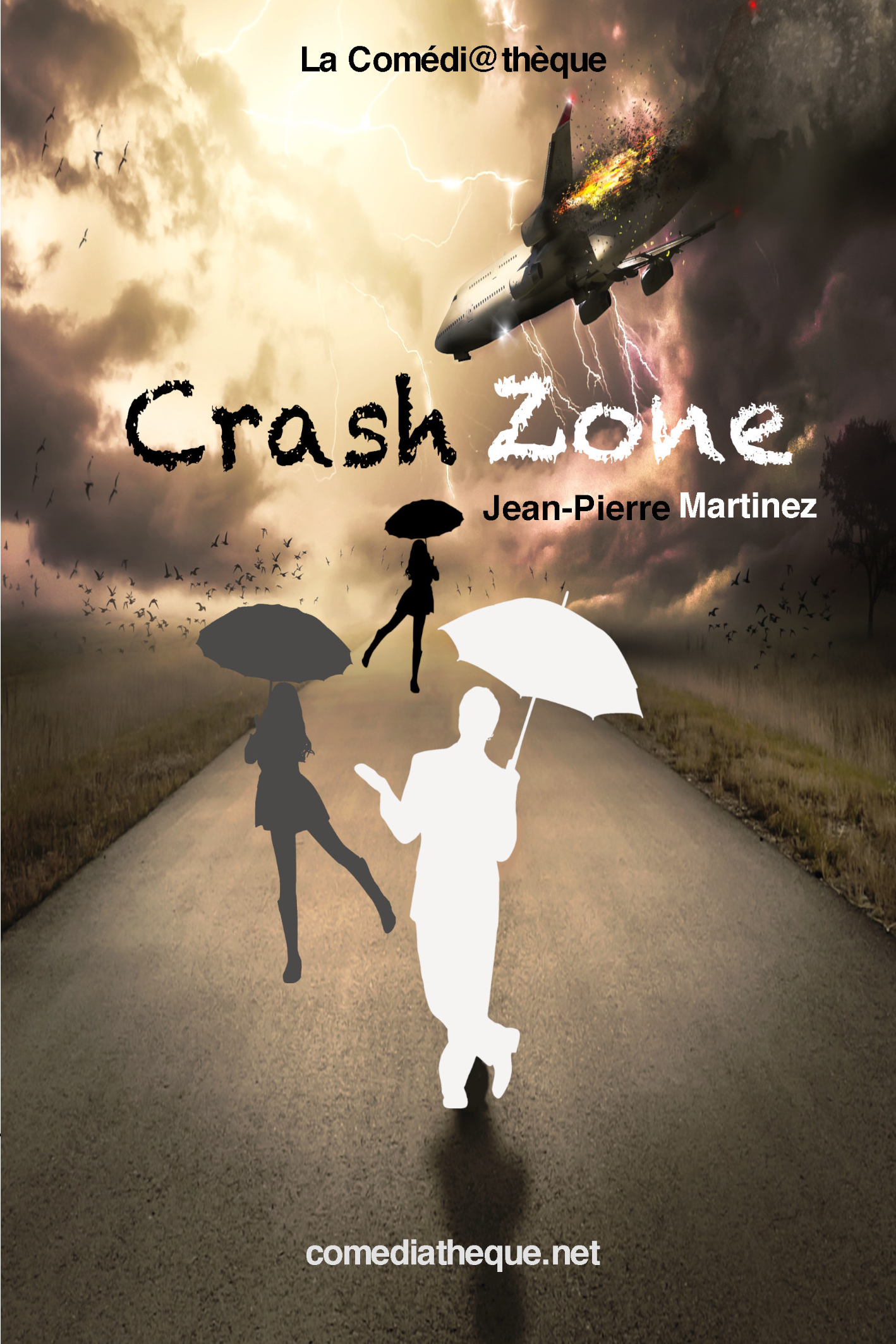 Crash Zone (en español)