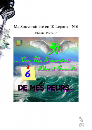 Ma Souveraineté en 10 Leçons - N°6