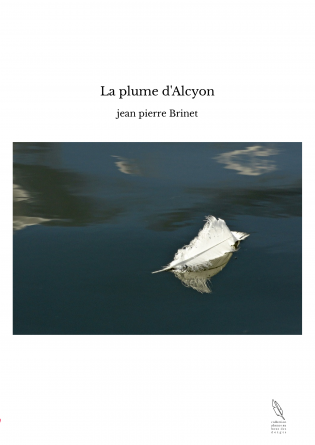 La plume d'Alcyon