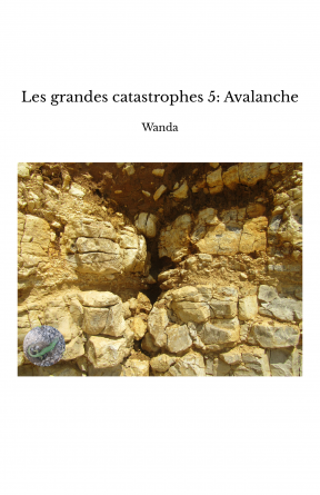 Les grandes catastrophes 5: Avalanche