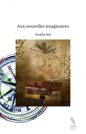 Aux nouvelles imaginaires