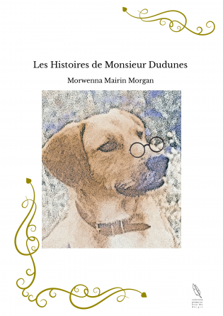 Les Histoires de Monsieur Dudunes 