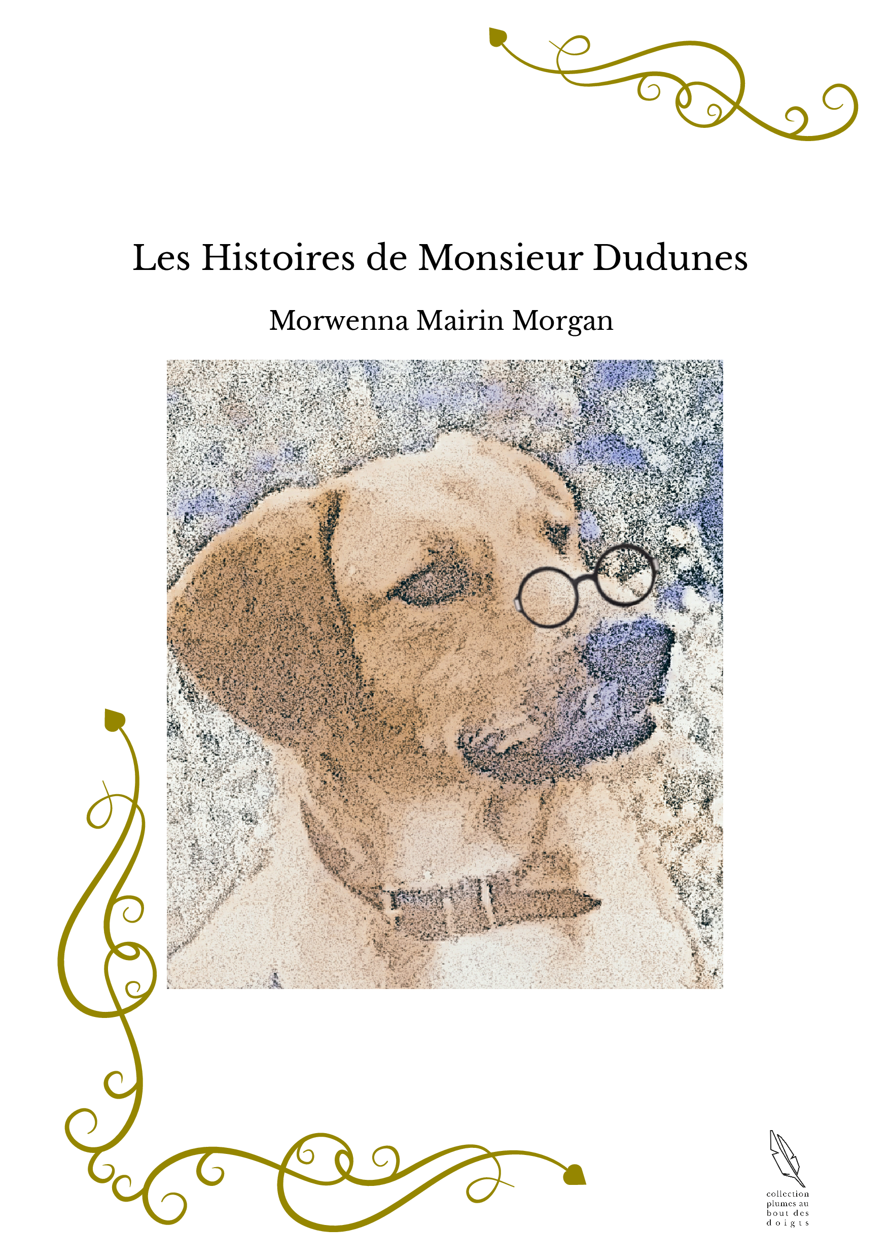 Les Histoires de Monsieur Dudunes 