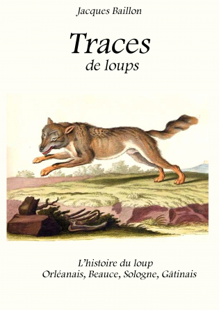 Traces de loups