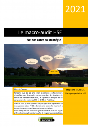 Le macro-audit HSE