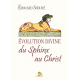 Evolution divine du Sphinx au Christ