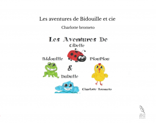 Les aventures de Bidouille et cie 